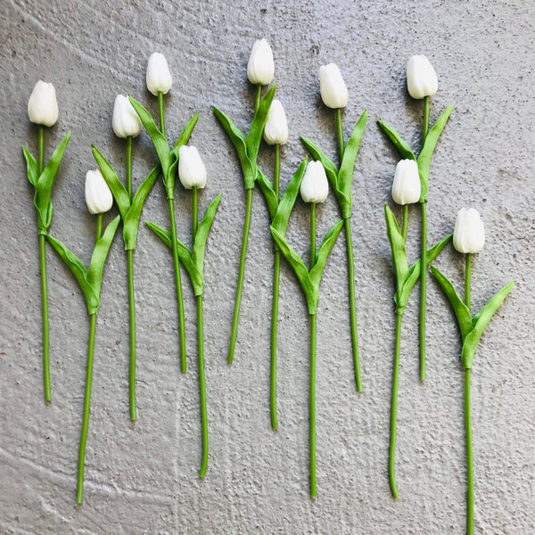 Tulipes douzaine